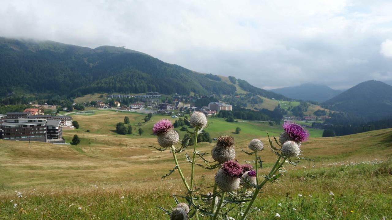 Appartamento ALMET apartmánové štúdio 206 Donovaly Esterno foto